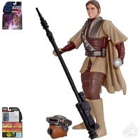 Leia, in Boushh Disguise (69602)